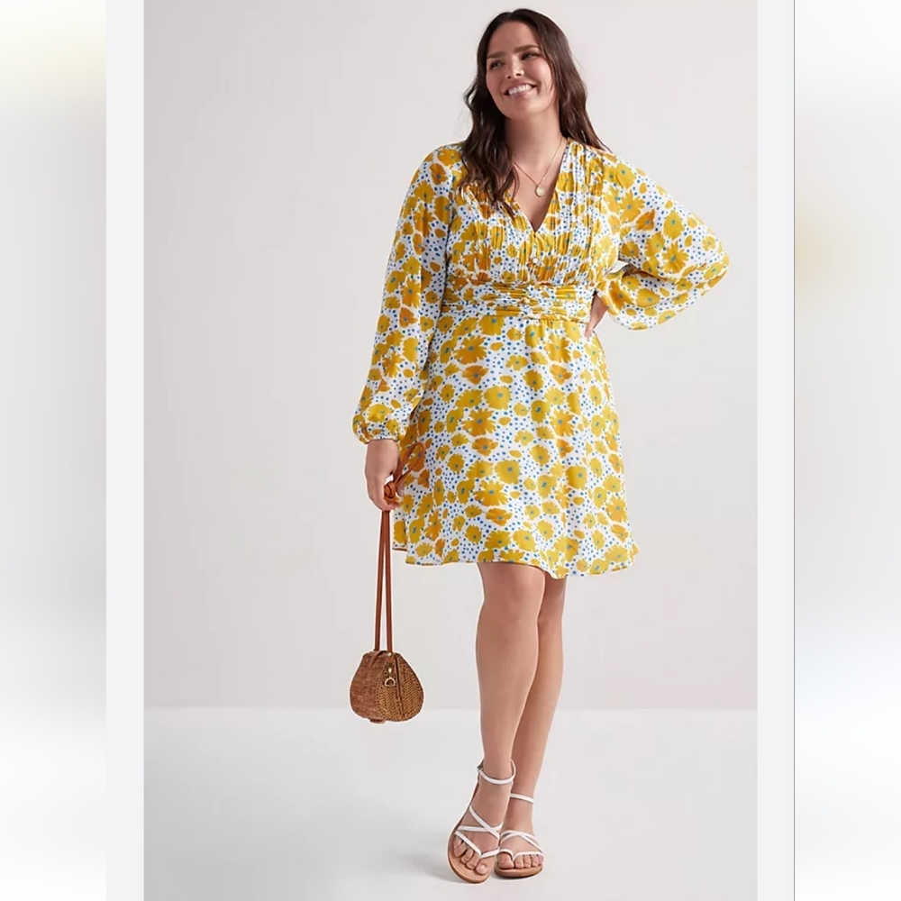 Anthropologie Sunlit Floral Mini Dress
